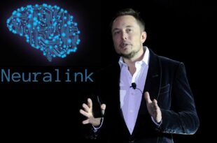 Elon Musk neuralink