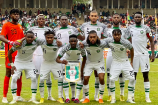 nigeria afrique du sud