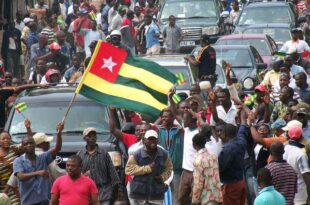 société civile constitution