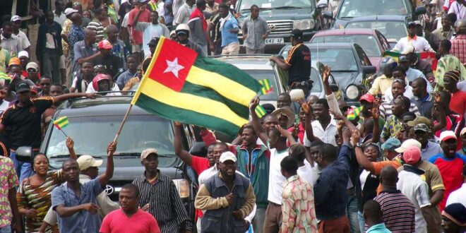 société civile constitution