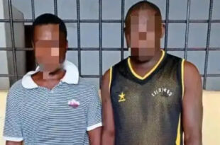 deux présumés voleurs aux arrêts