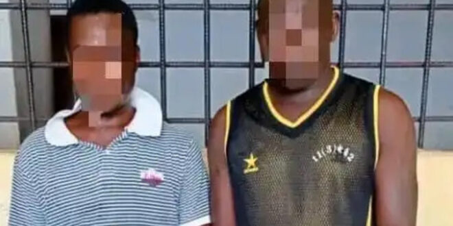 deux présumés voleurs aux arrêts