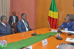 Cour constitutionnelle