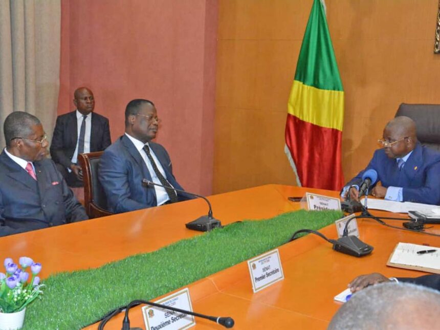 Togo : La Cour constitutionnelle s’échauffe pour les élections ...