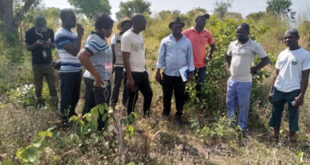 Togo : l’Agence de transformation agricole recrute 55 agents