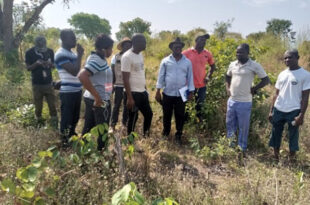 Togo : l’Agence de transformation agricole recrute 55 agents