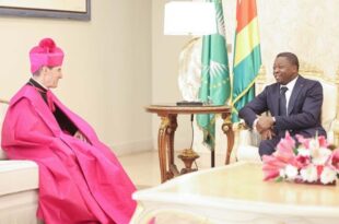 Faure Gnassingbé reçoit les lettres de créance de 14 nouveaux ambassadeurs