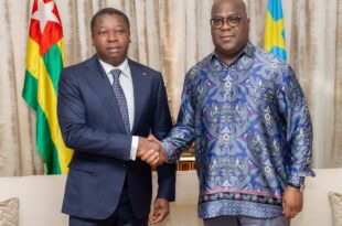 Faure Gnassingbé entame des discussions avec Felix Tshisekedi