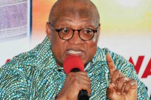 Élections Municipales 2025 : l’ANC CENI