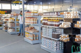 gouvernement produits togolais