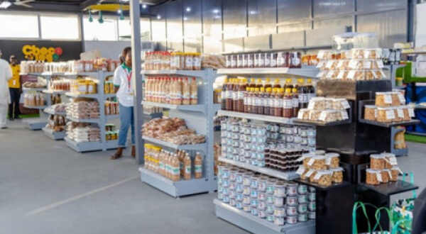 gouvernement produits togolais